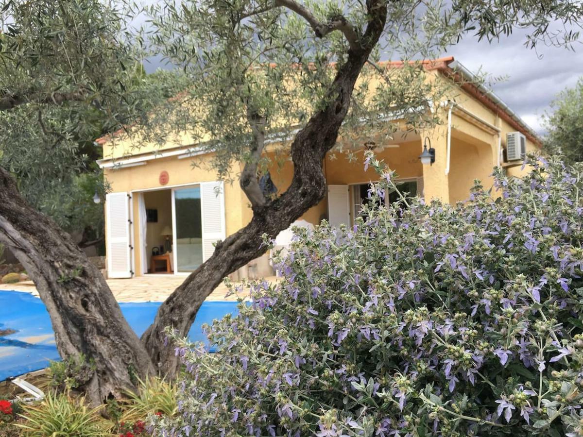 La Inopia Villa L'Ampolla Eksteriør billede